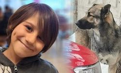 Sokağa atılan köpek 10 yaşındaki Mete'nin ölümüne neden oldu!
