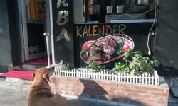 Eskişehir'de iç ısıtan görüntüler; Yemeği için dakikalarca bekledi!