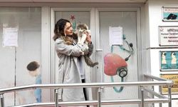 Eskişehir'de sevimli kedi aile sağlığı merkezinin maskotu oldu