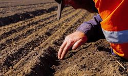 Eskişehir'de çiftçilere yüzde 50 hibeli tohum desteği