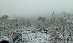 Eskişehir'in bazı ilçelerinde kar yağışı etkili olmaya başladı