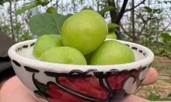 Eriğin kilogram fiyatı dudak uçuklattı; Tane ile satılıyor!