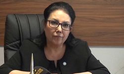 Emine Edizgil: "Eskişehir’de biz İYİ Parti olarak 3 milletvekilini zorlayacağız"