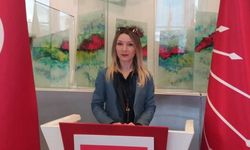 Ilgıt Önder CHP'den Eskişehir Milletvekili aday adayı oldu