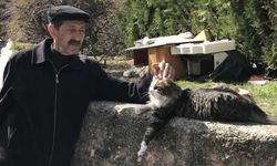 Alkışlar Eskişehirli Sabri amcaya; Komşuların istemediği kediler için yuva yaptı!