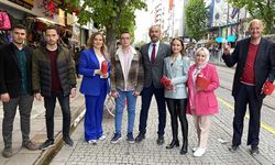 Eskişehir'deki MHP'liler caddelerde balon ve bayrak dağıttı