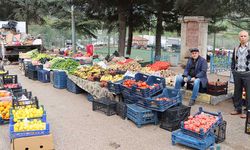 Eskişehir halkı üşüyor ama o ilçesi günlük güneşlik!