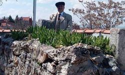 Eskişehir'de Arap Baba’nın kabri şerifi yeniden düzenlendi