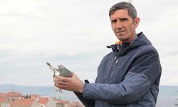 Eskişehir'de görenleri şaşırtan güvercin tutkusu; Sahurda bile yanlarında!