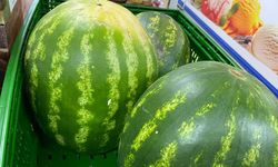 Eskişehir'de karpuz fiyatları düşmeye başladı; Geçen hafta 2 katıydı!
