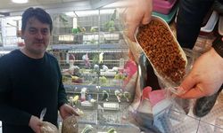 Eskişehir'deki petshop işletmecileri dertli; "Çözüm bekliyoruz"