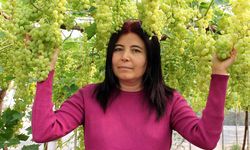 Üzüm hasadı başladı; Yakında Eskişehir tezgahlarında da olacak!