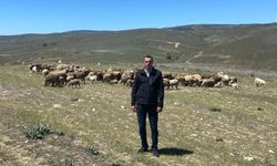 Eskişehir'de iki mahalle arasında mera sorunu!