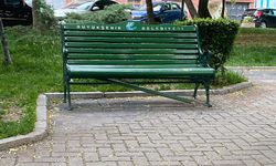 Eskişehir'de şaşkınlık veren görüntü; Oldukça uğraşmaları gerekir!