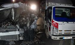 Büyükbaş hayvan yüklü kamyonet kaza yaptı!