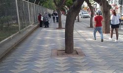 Eskişehir'de buraya neden bir tane çöp kutusu konulmuyor?