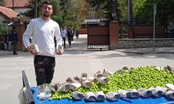 Eskişehirli seyyar satıcı seçimi fırsata çevirdi!