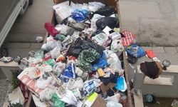 Eskişehir'de 5 milyon TL değerindeki daireden 50 ton çöp çıktı!