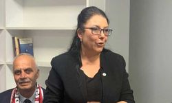 İYİ Partili Emine Edizgil: "Sığınmacıları 2 yıl içerisinde göndereceğiz"