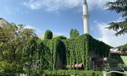 Eskişehir'de sarmaşıklarla kaplı cami görenleri mest ediyor!