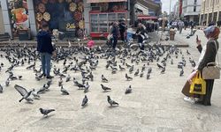 Eskişehir'de güvercinler aç bırakılmıyor; Çocuklar hayvan sevgisi ile büyüyor!
