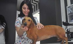 Uzmanı uyardı; Eskişehir'deki vaka sayılarında yükseliş var!
