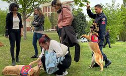 Eskişehir'de yaşayan bu 2 zeki köpek büyük alkış topluyor!