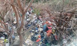 Eskişehir'de mahalle sakinleri isyanda; Bu çöp eve bir çözüm bulun!
