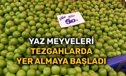 Eskişehir'de yaz meyveleri tezgahlarda yer almaya başladı