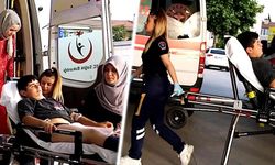Kırsal alanda oynayan çocuk dehşeti yaşadı!