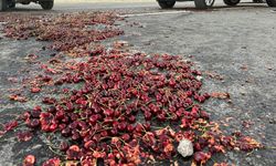 Kirazlarını satamayan üreticiler kirazları yola döktü!