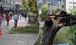 Eskişehir'de şiddetli rüzgar faciaya neden oluyordu!