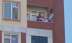 Eskişehir'de korku dolu anlar; Uzun süre uğraştılar!