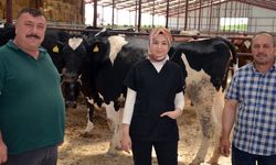 Eskişehir’in o ilçesine Macaristan’dan düve getirildi!