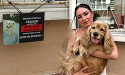 Eskişehir'i ayağa kaldıran olay; Bu vicdansız kimse acilen yakalanmalı!