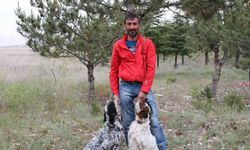 Eskişehir’de yürekleri yakan olay; Avcılık tutkusu sonu oldu!