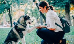 Eskişehir'de yaşayan evcil hayvan sahipleri dikkat; Daha dikkatli olmalısınız!