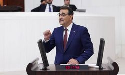 Fatih Dönmez: "Derdi ağaç olanlar CHP’li belediyelerin ağaç katliamlarına sessiz kalmazdı"