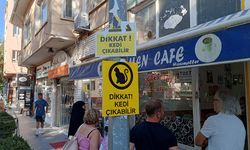 Eskişehir'de şaşırtan vandallık girişimi; Normal bir durum değil!
