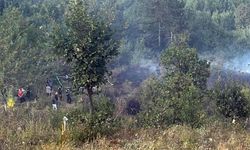 Bahçesindeki otları temizlemek isterken canından oldu!