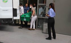 31 yaşındaki kadın cansız halde bulundu!