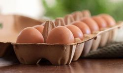 Sorunun tavuklarda olmadığı çok açık; Yumurta fiyatlarına sürekli zam geliyor!