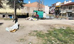 Eskişehir’in göbeğinde şaşırtan manzara; Vatandaşlar tedirgin!