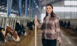 Eskişehirli üreticiler dikkat; Destek ödemeleri başladı!