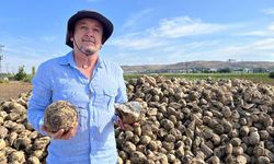 Eskişehir’de çiftçiler verimden memnun; Ancak talepleri var