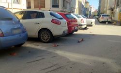Eskişehir’de mahalle sakinleri isyan etti; Dubalar bile engel olmuyor!