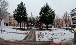 Eskişehir'de kış etkisini gösteriyor; Soğuk hava etkisini sürdürüyor!