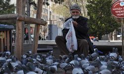 Eskişehir'de yıllardır büyük bir özenle sokaktaki kuşları besliyor!