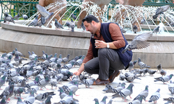 Nazilli’den gelen turistler Eskişehir’deki kuşları elleriyle besledi!