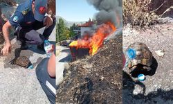Alevlerin ortasında kalan kaplumbağaya ekiplerden yardım eli